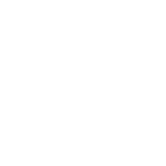 torneos